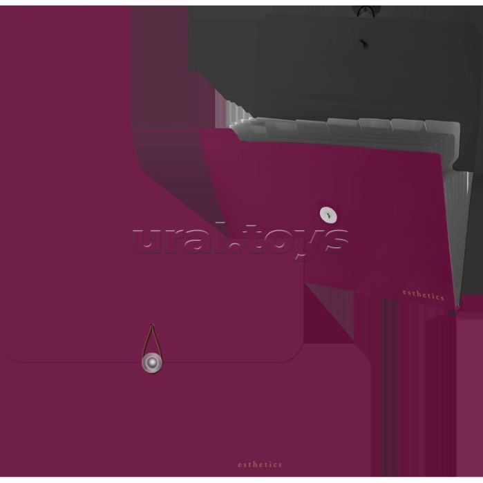 Папка с резинкой с 8-ю отделениями "Esthetics" A4 (328x235x16 мм) полипропилен 700 мкм, фактура "soft-touch" черные разделители 160 мкм, индивидуальная упаковка, непрозрачная бургунди