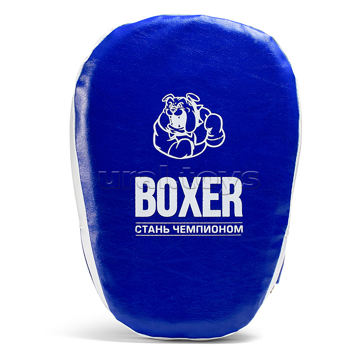 Боксерский набор синий