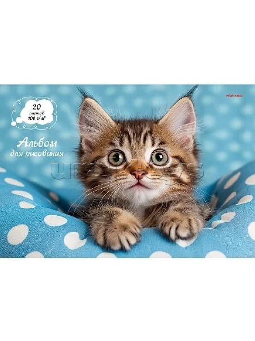 Альбом для рисования А4 20л. "Милый котик - 2" скрепка