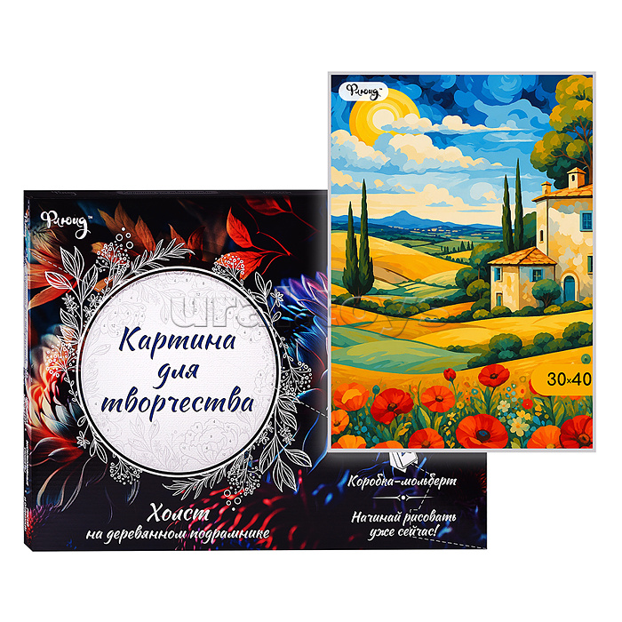 Картина по номерам 30х40 "Итальянская мечта" (25 цветов)