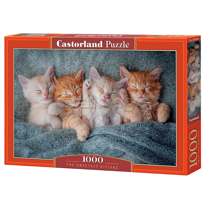Пазлы 1000 "Милые котята"