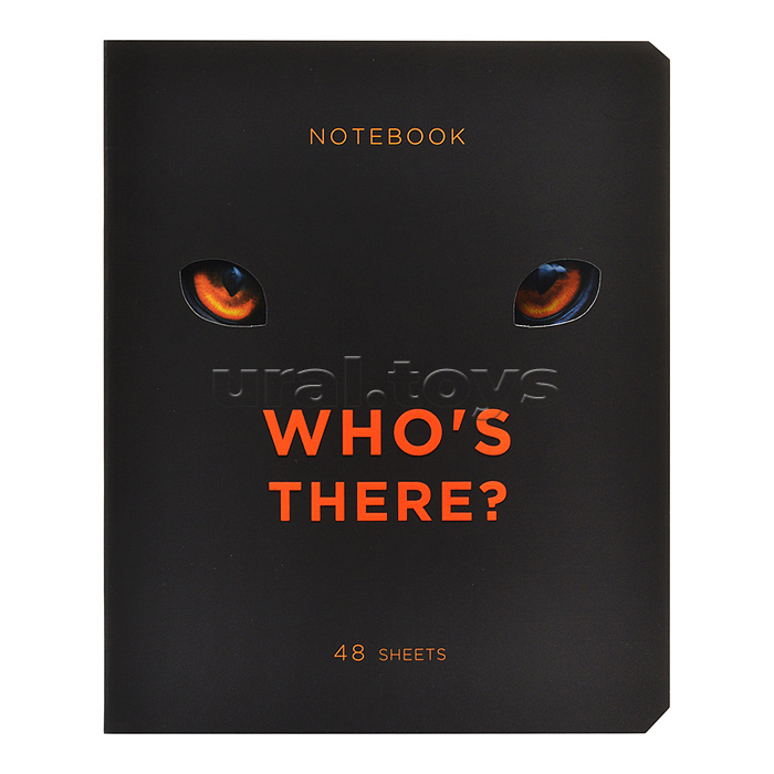 Тетрадь 48л. клетка, А5 "Кто это?" скрепка