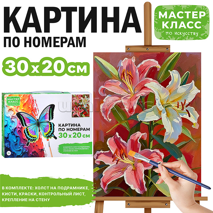 Картина по номерам "Лилии" 30х20 см.