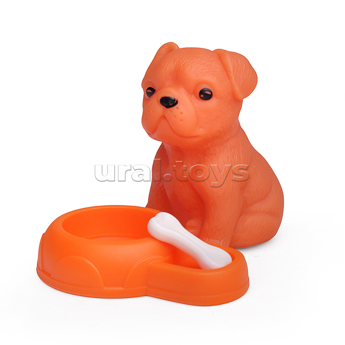 Набор питомец "Чудо природы" в коробке