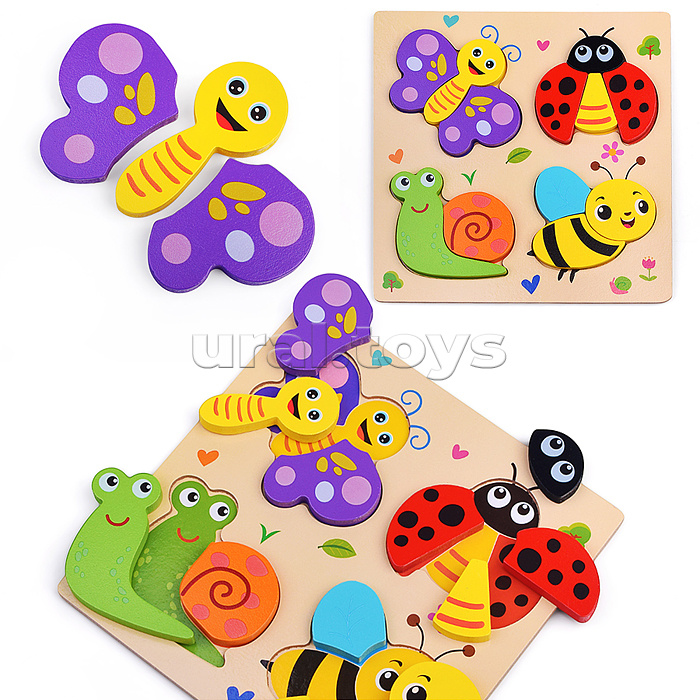 Пазл-вкладыш "Насекомын"