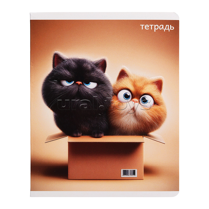 Тетрадь 48 л, клетка "Котяры" А5+, мягкий переплёт (2 скобы)
