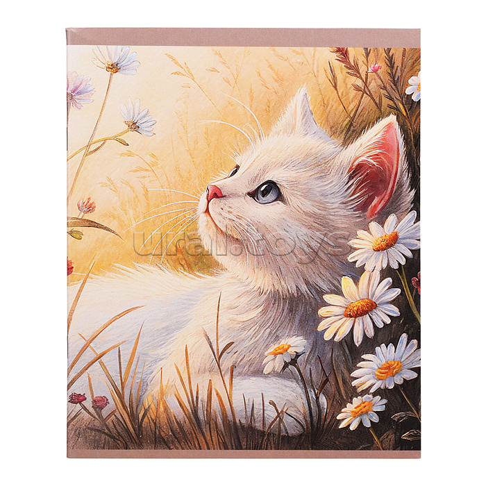 Тетрадь 48л. клетка "Солнечные коты" скрепка. обл.: мел. картон. Бум. оф.60 г/м2.