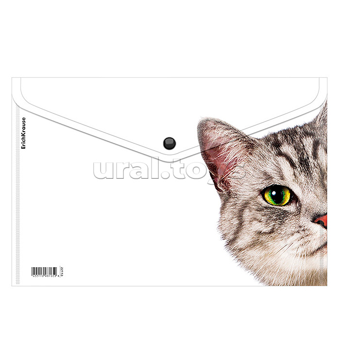 Папка-конверт на кнопке пластиковая Hiding Cats, A4, ассорти Папка-конверт на кнопке пластиковая Hiding Cats, A4, ассорти