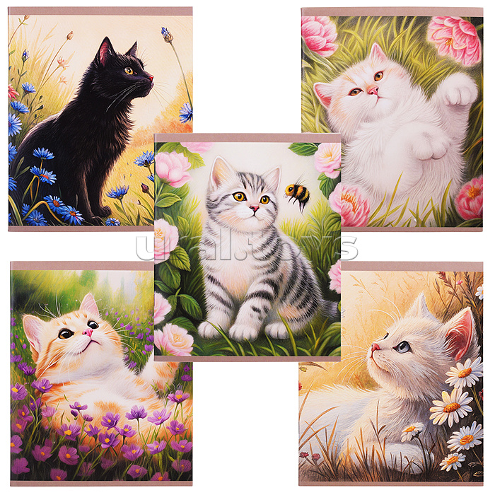 Тетрадь 48л. клетка "Солнечные коты" скрепка. обл.: мел. картон. Бум. оф.60 г/м2.