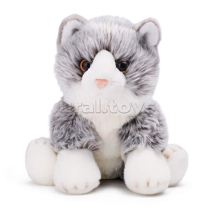 Котик серый Мейнкун, 25 см