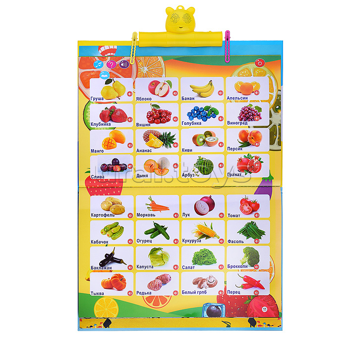 Плакат развивающий "Говорящая книжка"