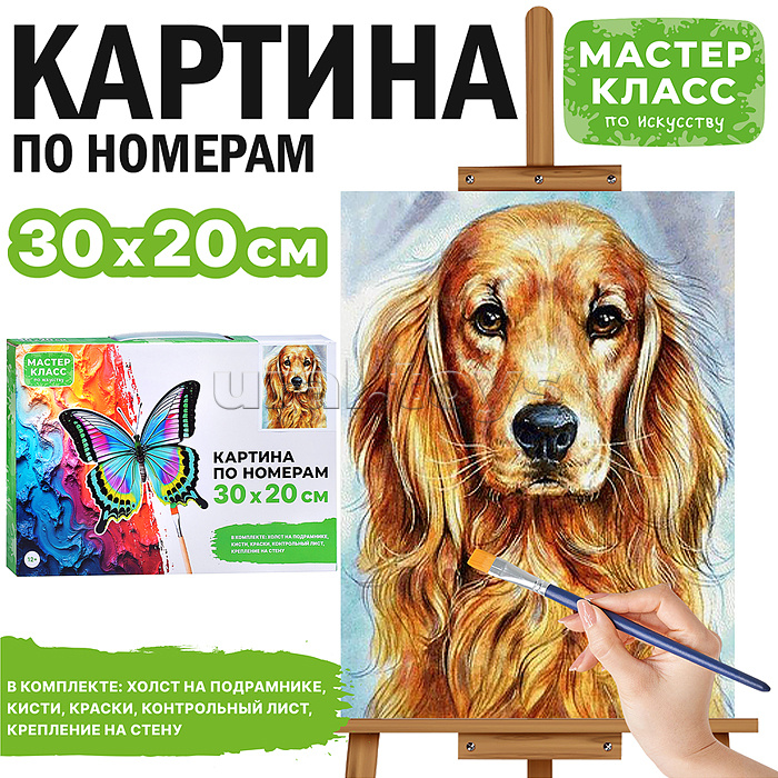 Картина по номерам "Верный пес" 30*20 см.