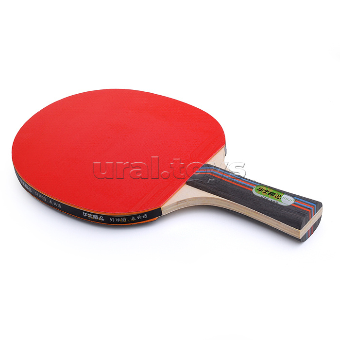 Ракетка для настольного тенниса в сумке