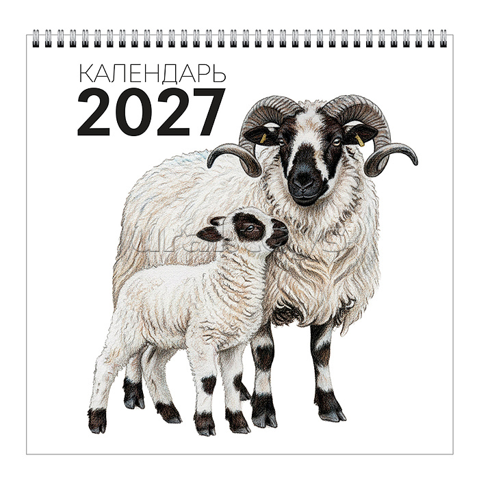 Календарь настенный на 2027 г. "Символ года. Атлас благородных сословий" евроспираль квадратные средние 320х320 мм. сетка – 1 мес. евроспираль с ригелем. 6л.