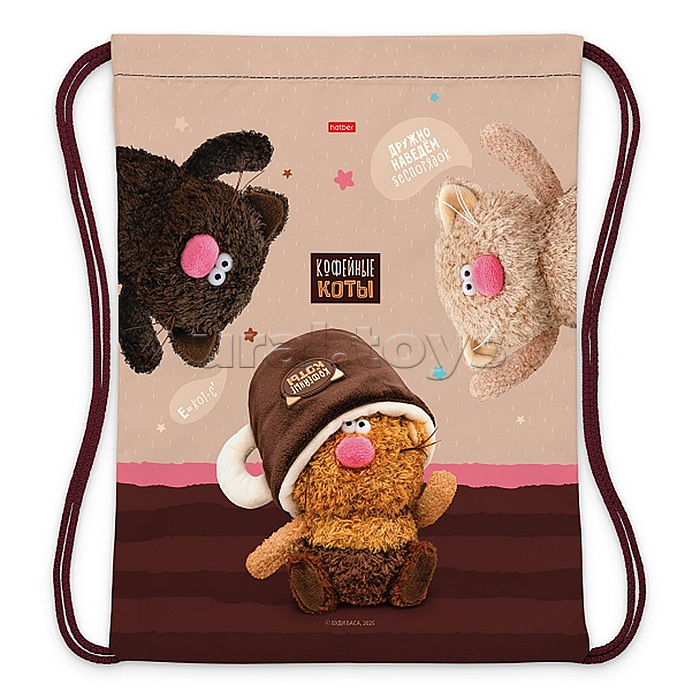 Мешок для сменной обуви 33х42см 1 отделение "Кофейные коты"