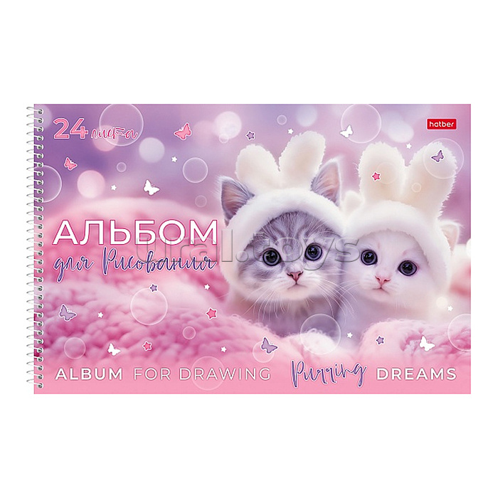 Альбом для рисования 24л "Нежные мечты" А4 на гребне 5 диз.в блоке