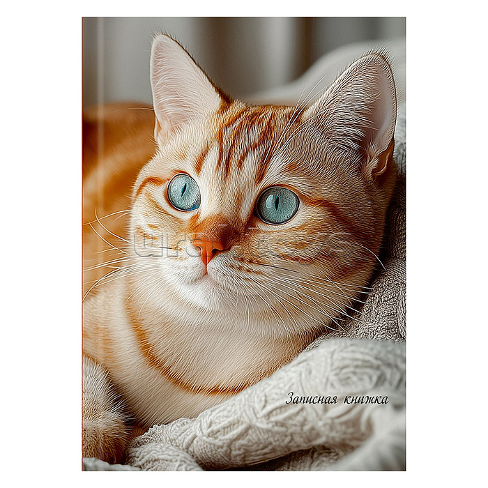 Записная книжка А6 48л. "Уютные котики" 7БЦ, глянц. ламин., цвет. мелов. обл