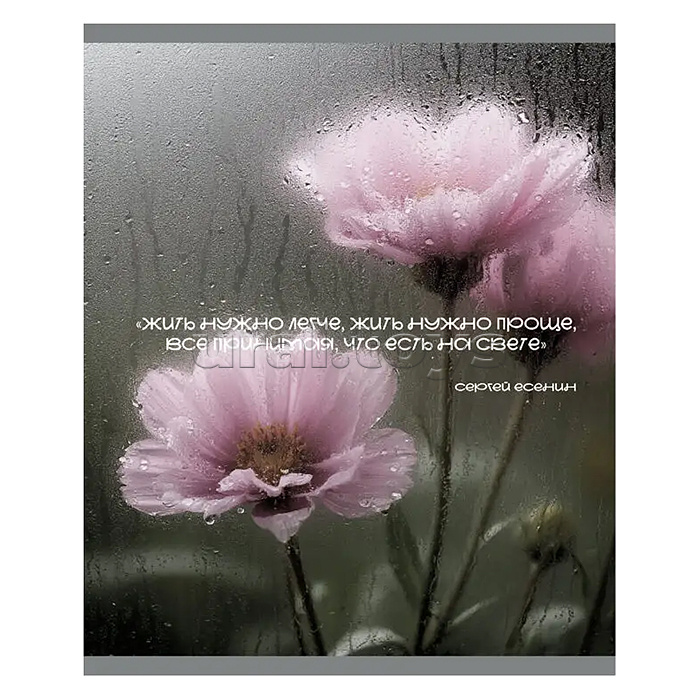 Тетрадь 48л. клетка "После дождя" А5 скрепка