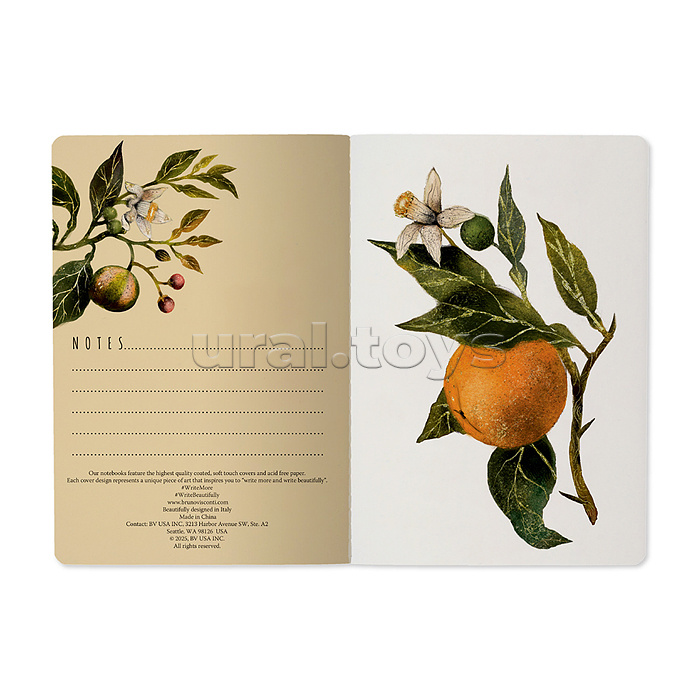 Тетрадь 40л. линия "Флора. Райские апельсины" А5