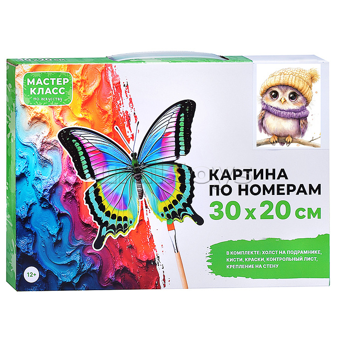 Картина по номерам "Сова в шарфе и шапке" 30*20 см.