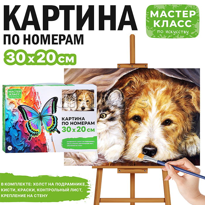 Набор для рисования "Картина по номерам 20*30 см. "Дружба"