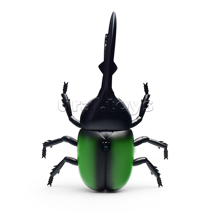 Жук в коробке