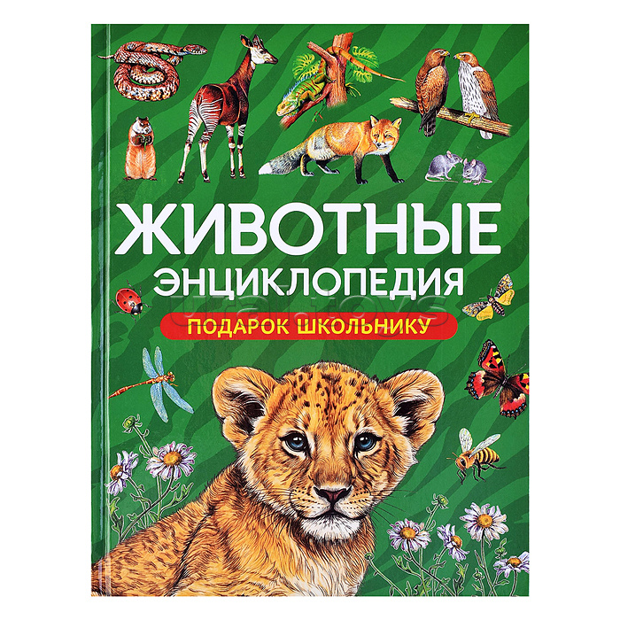 Животные. Энциклопедия. Подарок школьнику
