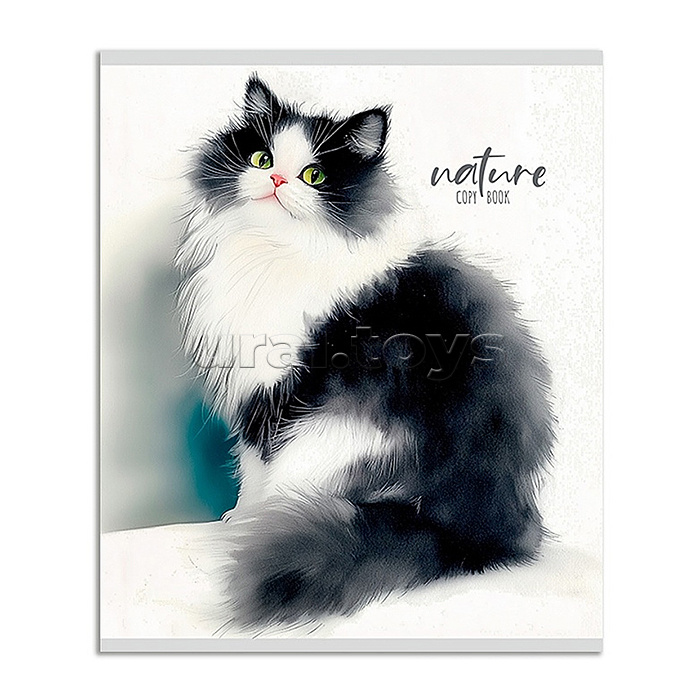 Тетрадь 48л. линия "Красивые коты - 1" цвет. мелов. обл.