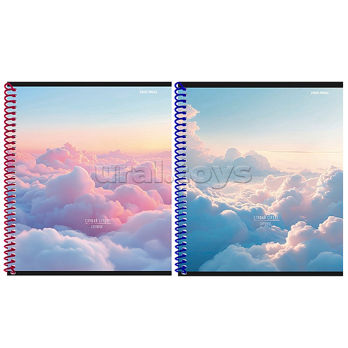 Тетрадь 48л. клетка "Полет над облаками"  А5 цв спир,цвет.мел.обл,софт-тач mix