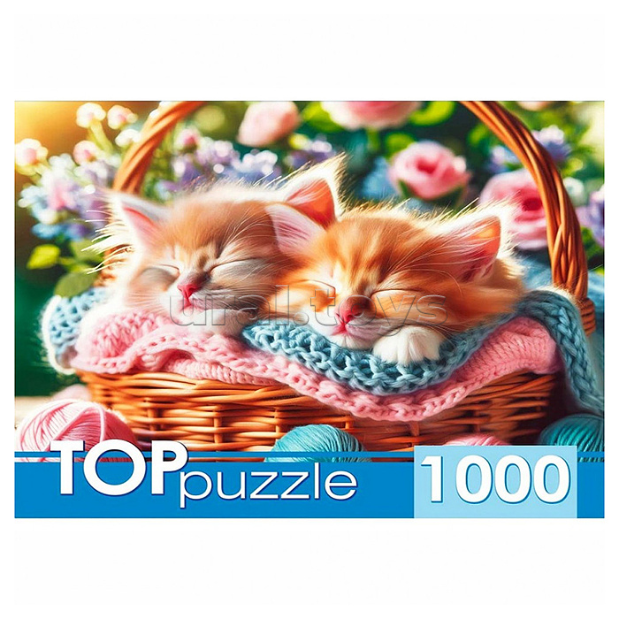 Пазлы 1000 TOPpuzzle "Два котенка в корзине"