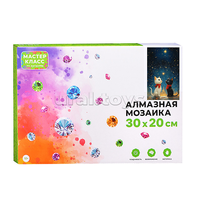 Мозаика алмазная "Два кота под звездным небом" 20*30см.