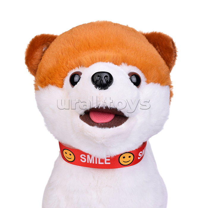 Собака "Джек" (записывает, поёт, двигается) в пакете