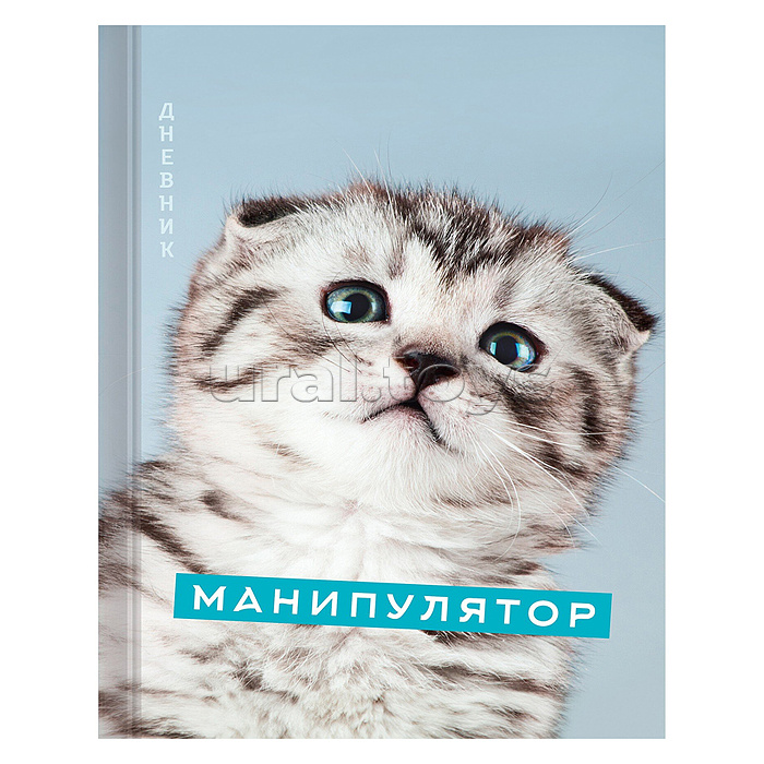 Дневник 5-11кл. "Домашние любимцы. Дизайн 4 (24)" 7БЦ, глян. ламин., интеллект. наполн., бум. оф.60 г/м2, двухкрас. печать