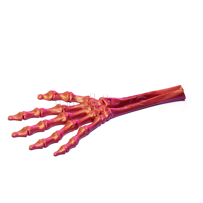 Игрушка-антистресс "Скелет руки"