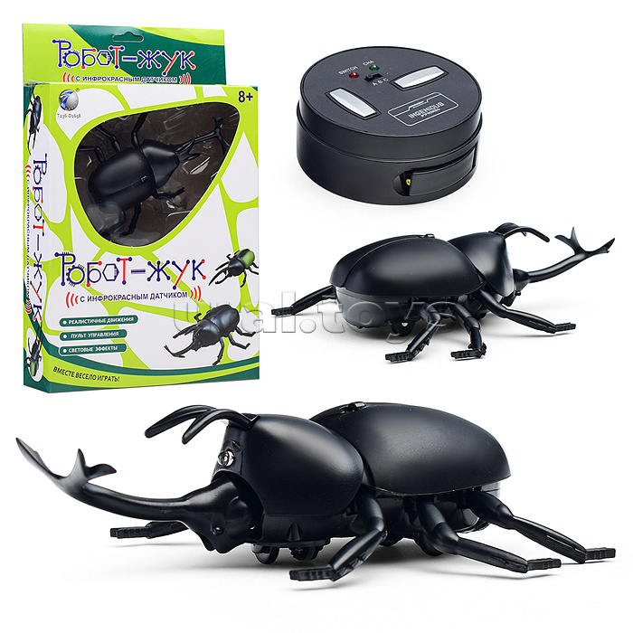 Жук в коробке