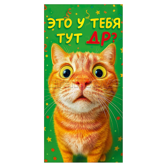 Конверт для денег "Это у тебя тут ДР?!" (кот)