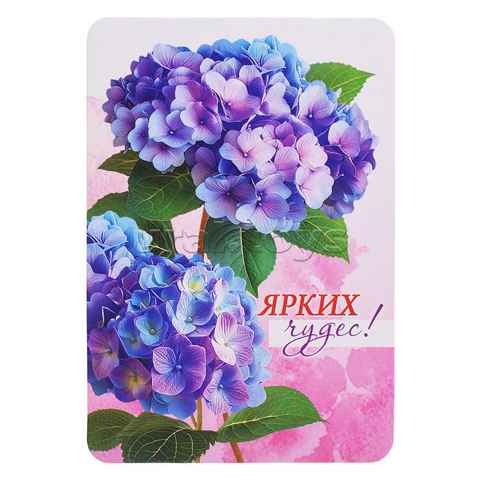 Набор мини-открыток "Акварельные цветы"