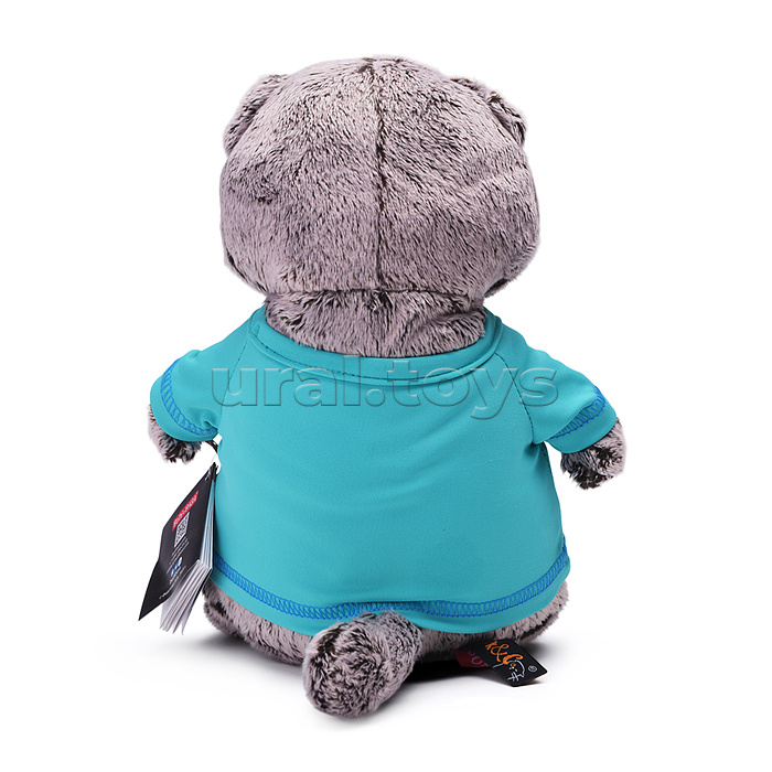 Кот Басик в лонгсливе с лошадкой