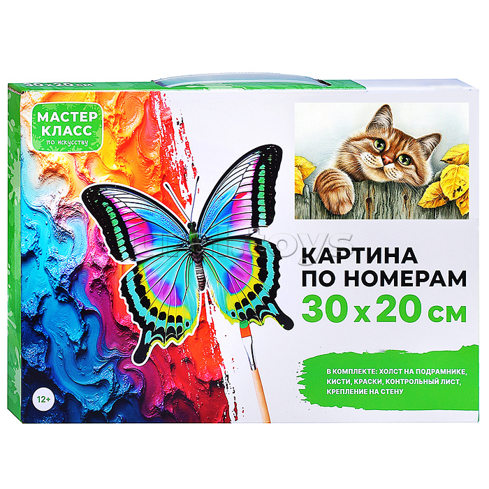 Картина по номерам "Рыжая кошечка" 30*20 см.