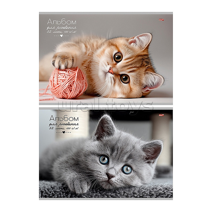 Альбом для рисования 32л. А4 "Котики" скрепка, 2 дизайна