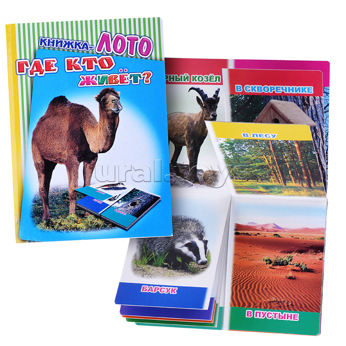 Книга Лото. Где кто живет? (Алфея) Книга Лото. Где кто живет? (Алфея)