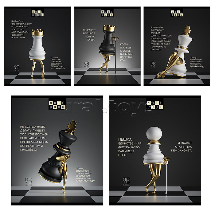 Тетрадь 96л. клетка А5 "Шахматы" скрепка S премиум