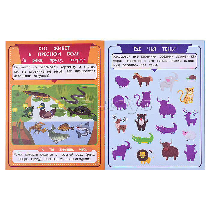 Обучающий набор в папке. Подготовка к школе. 12 брошюр.