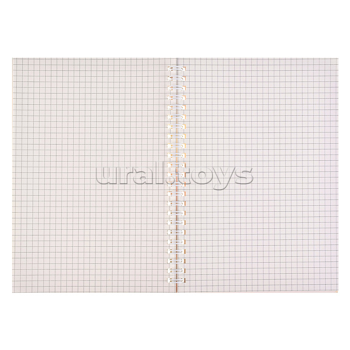 Блокнот на евроспирали "Котята" 14.5x21 см, 60 л., внутренний блок в клетку, плотность бумаги 70г/м2, 4 дизайна в ассортименте, ОПП-упаковка