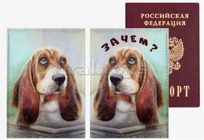 Обложка для паспорта "deVENTE. Зачем?" 10x14 см, искусственная кожа, поролон, цветная печать, отстрочка, одно отделение для визитки Обложка для паспорта "deVENTE. Зачем?" 10x14 см, искусственная кожа, поролон, цветная печать, отстрочка, одно отделение для визитки