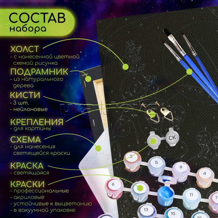 Картина по номерам 30х40 "Щенок корги" черный холст со светящейся краской, цветная схема (30 цветов)