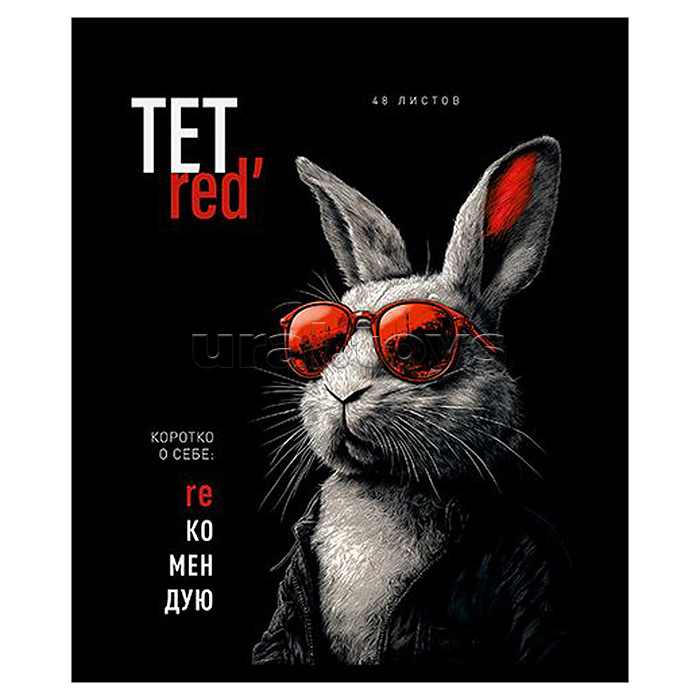 Тетрадь 48л. клетка А5 скрепка S "ТетРед" Премиум 4+4+Матовая ламинация+УФ выб.20%+Конгрев