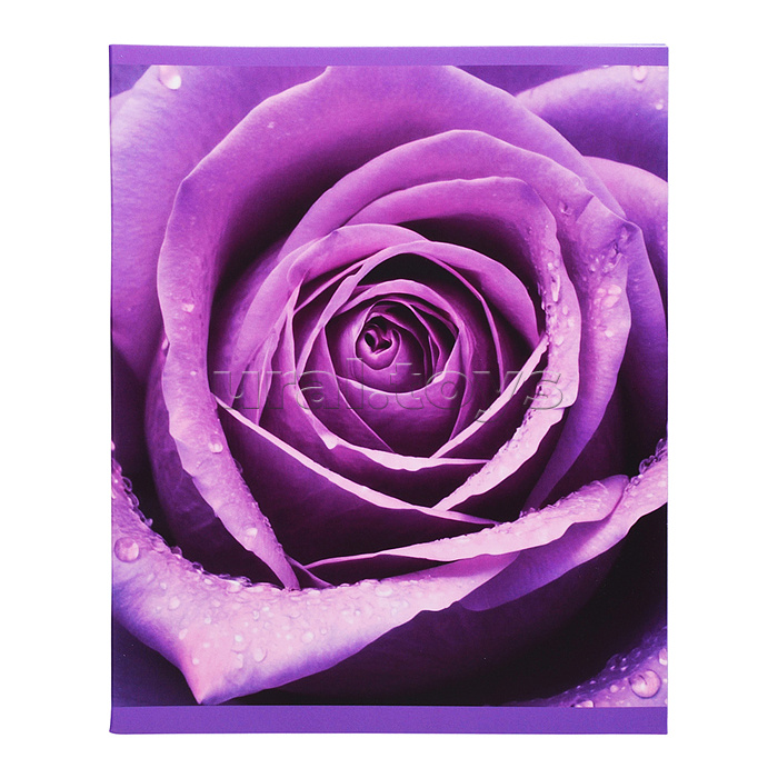 Тетрадь 48л. клетка "Лиловый микс" скрепка обложка: мелованный картон, матовая ламинация