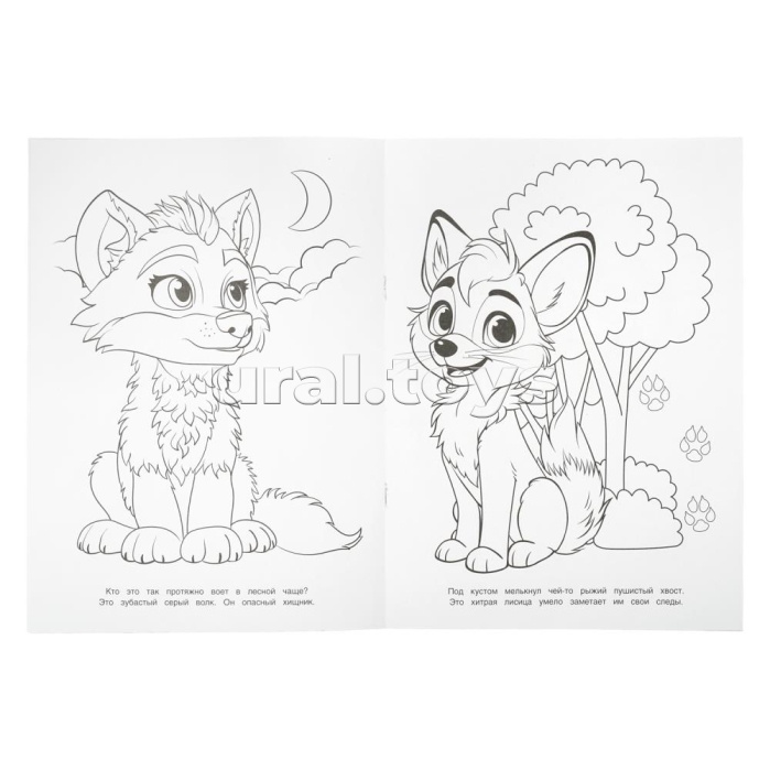 Прогулка в лесу. Чудо-раскраска