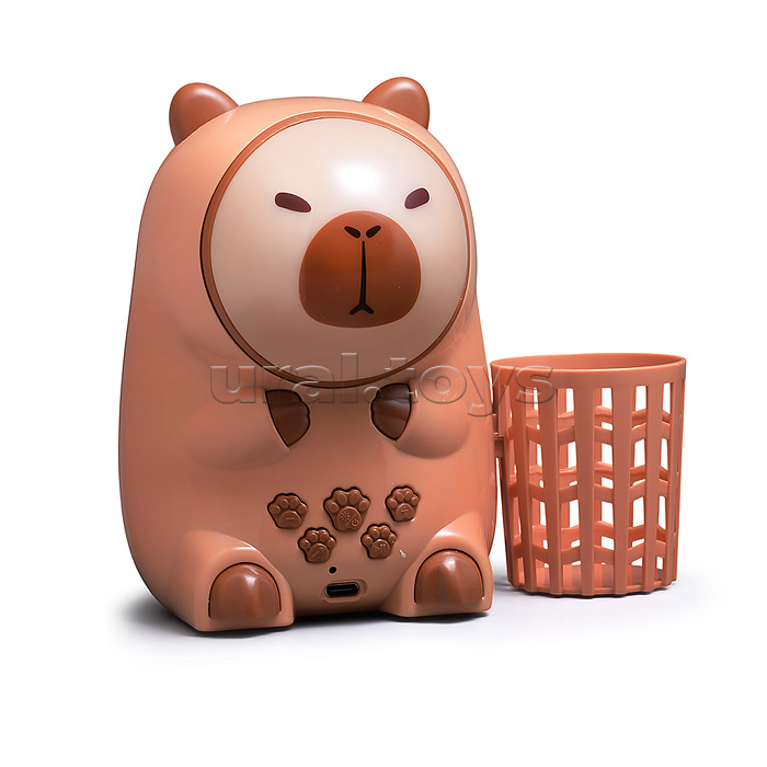 Караоке - центр игрушечный "Поем вместе" в коробке